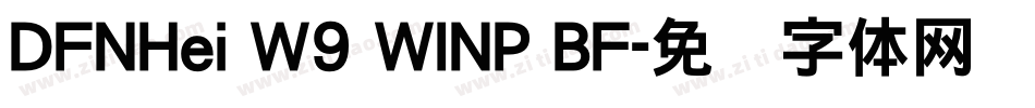 DFNHei W9 WINP BF字体转换